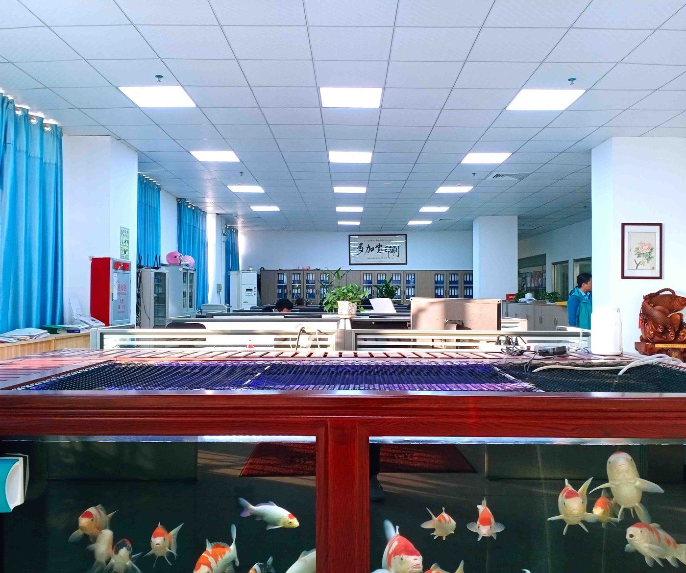 Office Area